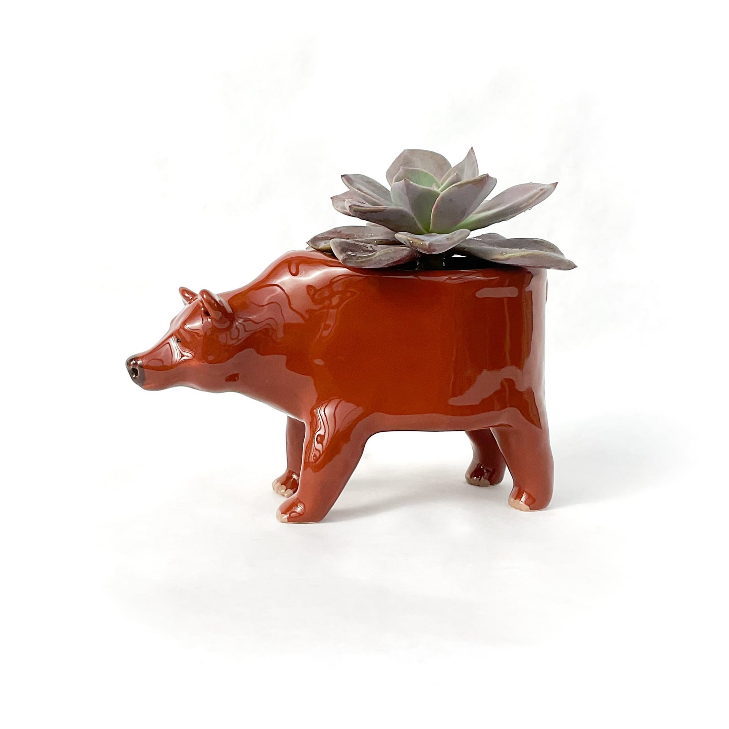 Grizzly Bear Ceramic Planter