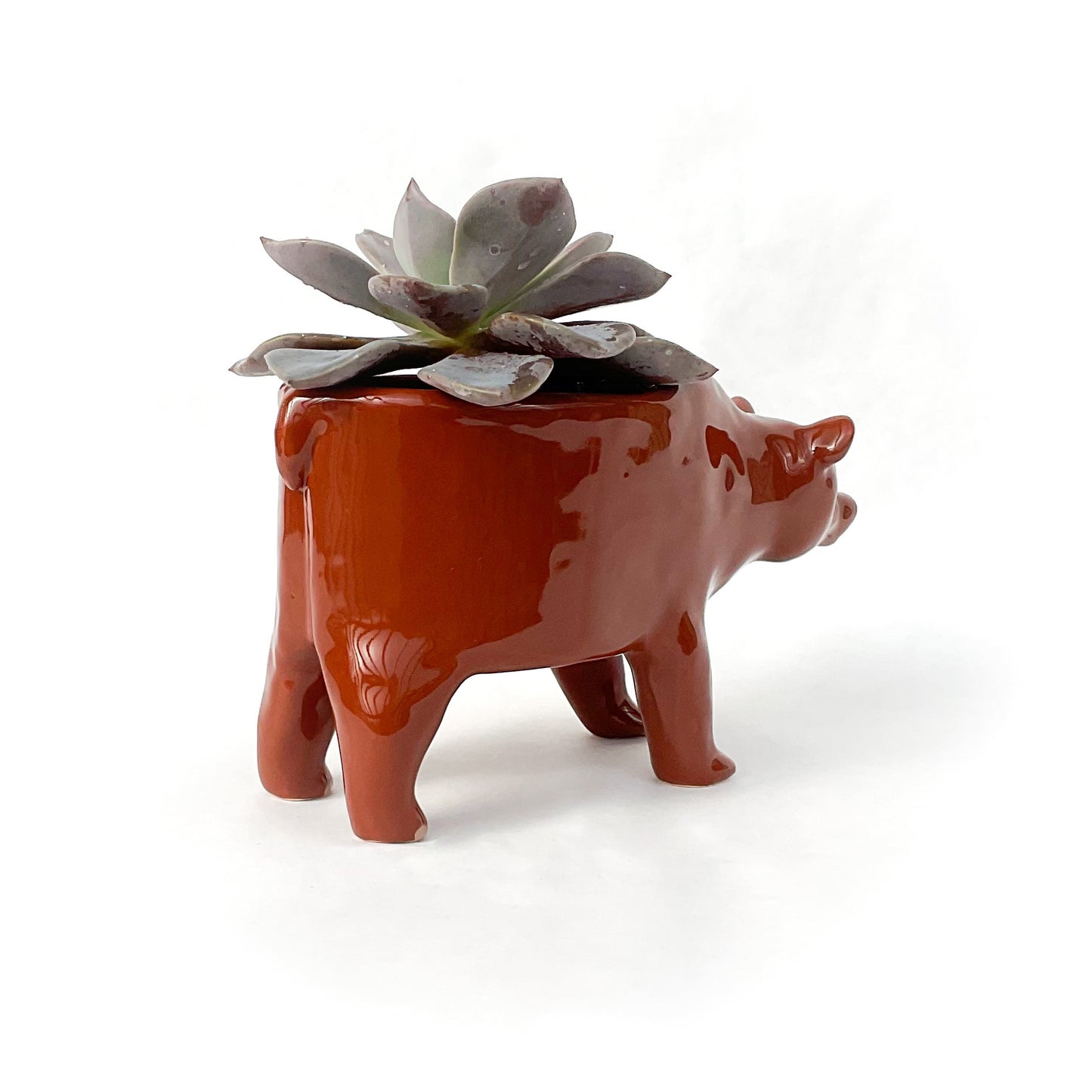 Grizzly Bear Ceramic Planter