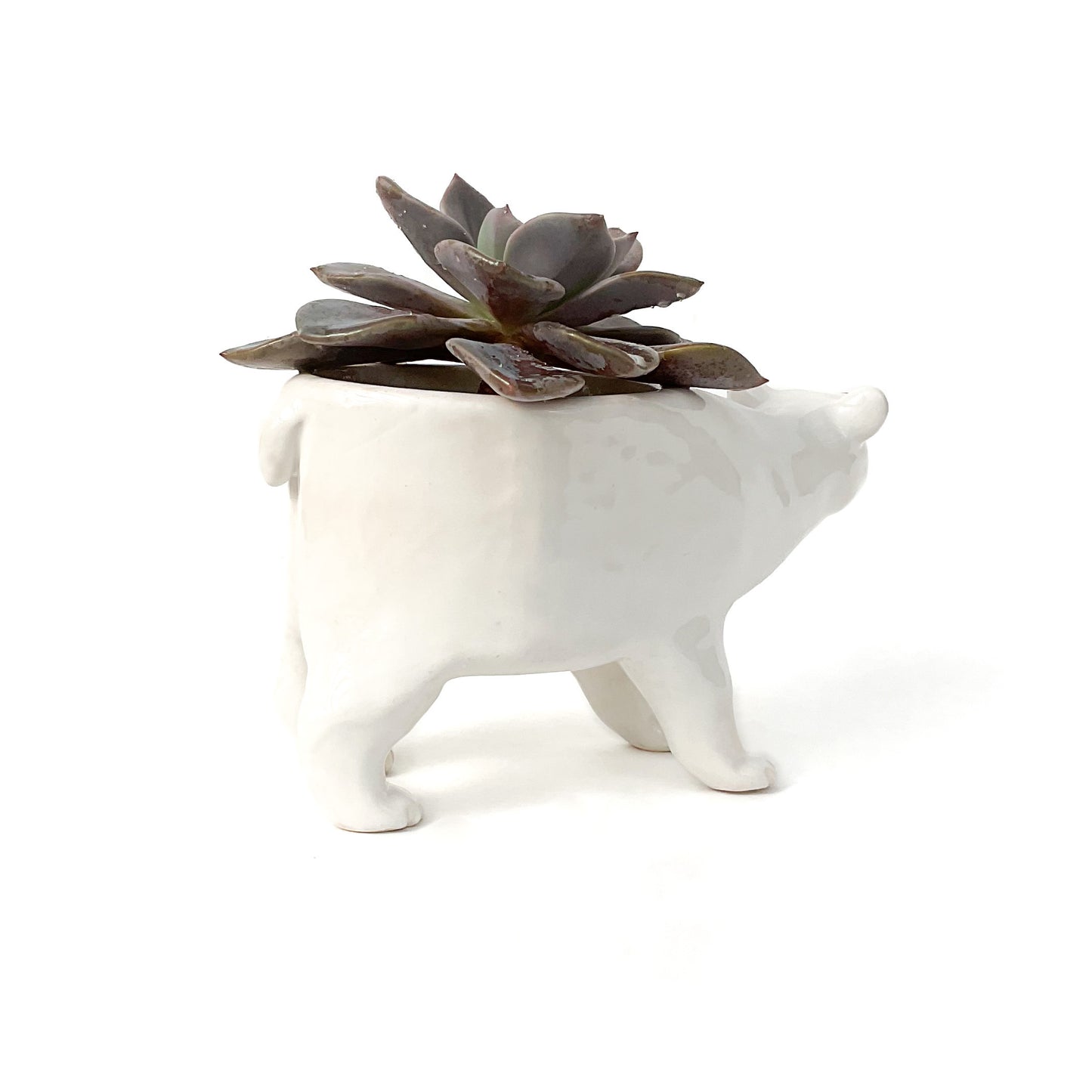 Polar Bear Ceramic Planter