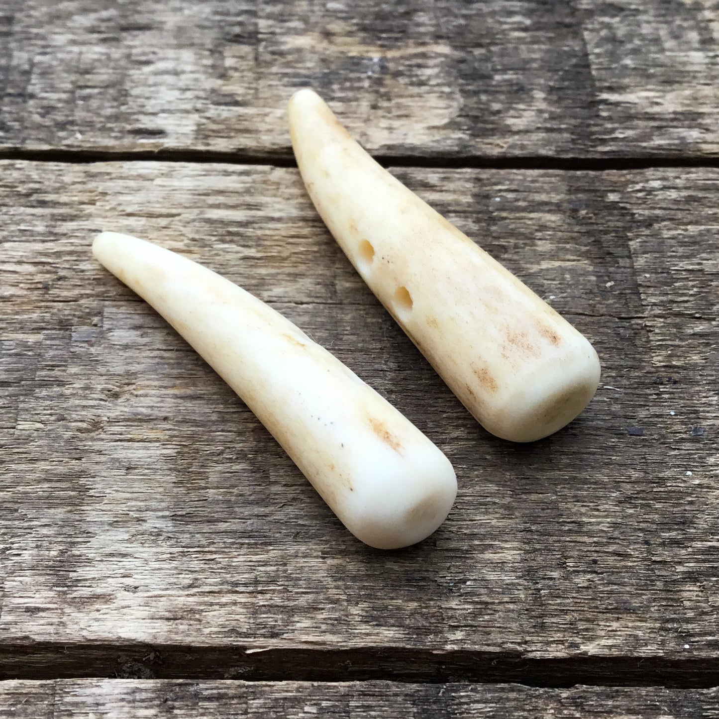 1-1/4" Deer Antler Shed Tip Toggle Button