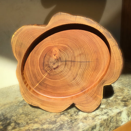 Natural Edge Black Locust Bowl - 16" diameter